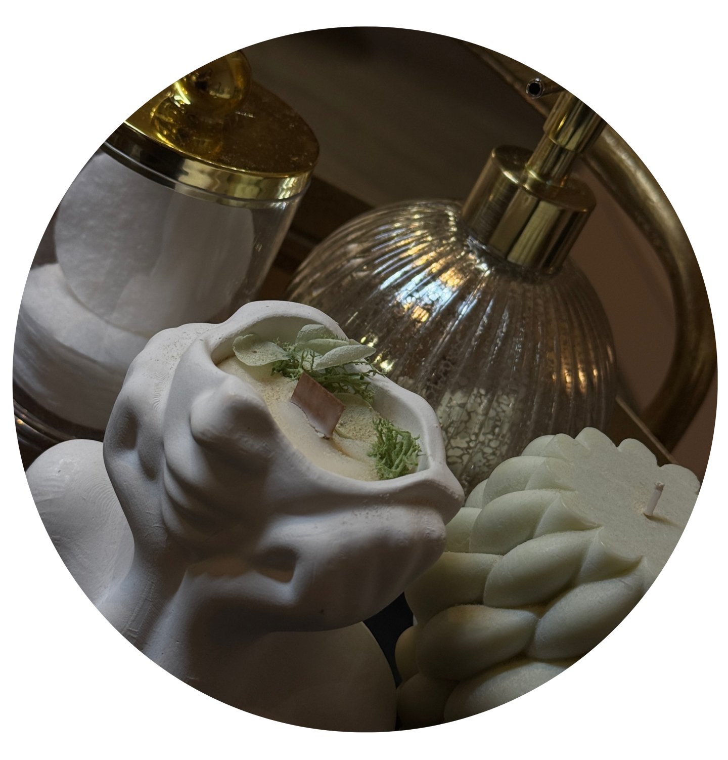 inspirational round photo pallette instagram story (7)